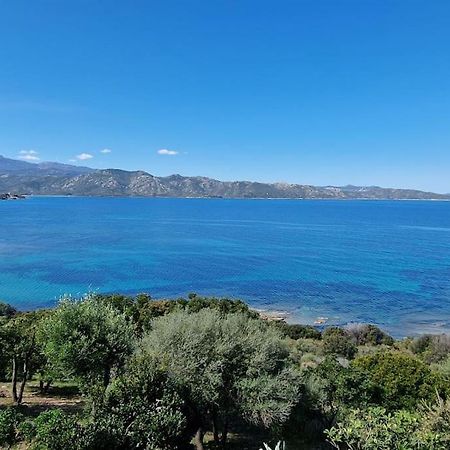 Appartement Sur La Baie De Saint Florent Patrimonio Eksteriør bilde