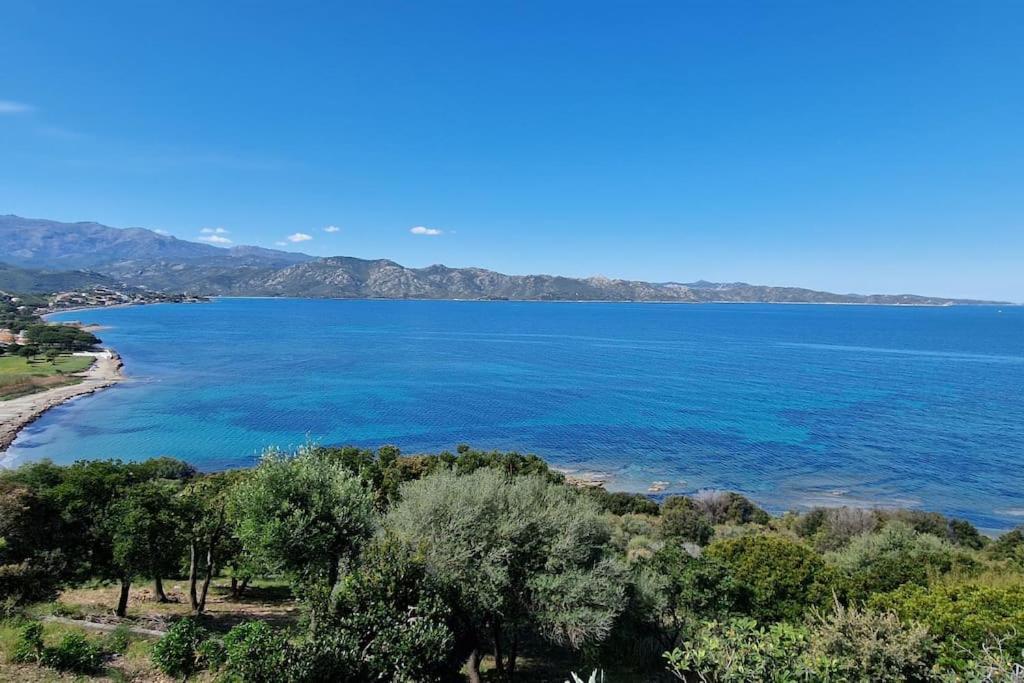 Appartement Sur La Baie De Saint Florent Patrimonio Eksteriør bilde