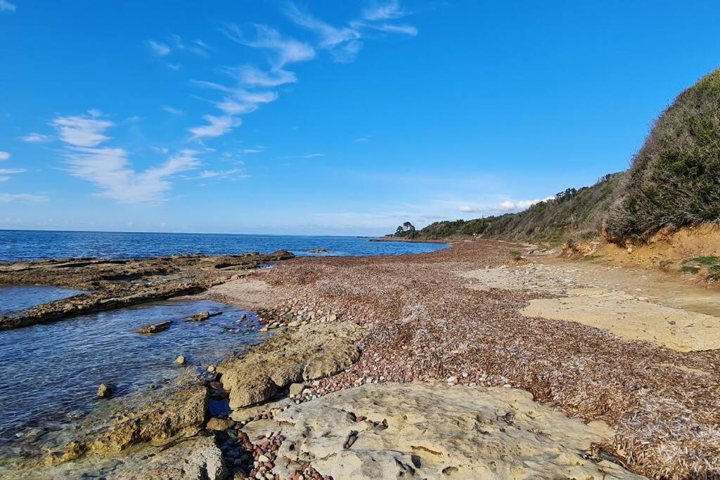 Appartement Sur La Baie De Saint Florent Patrimonio Eksteriør bilde