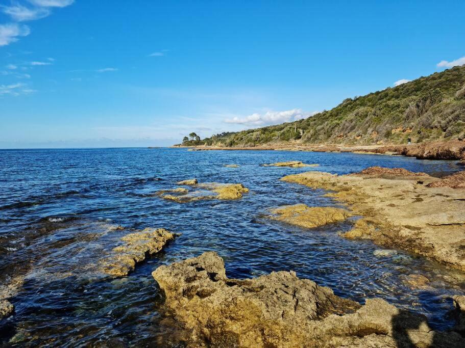 Appartement Sur La Baie De Saint Florent Patrimonio Eksteriør bilde