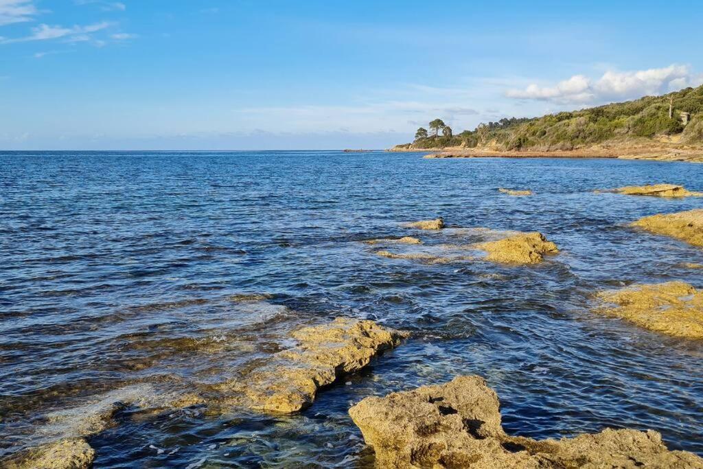 Appartement Sur La Baie De Saint Florent Patrimonio Eksteriør bilde