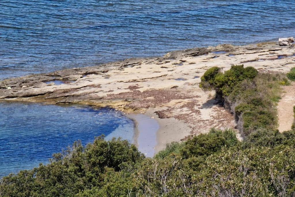 Appartement Sur La Baie De Saint Florent Patrimonio Eksteriør bilde