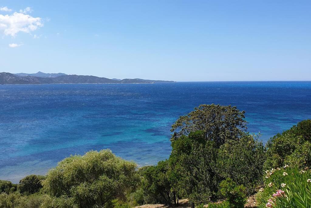 Appartement Sur La Baie De Saint Florent Patrimonio Eksteriør bilde