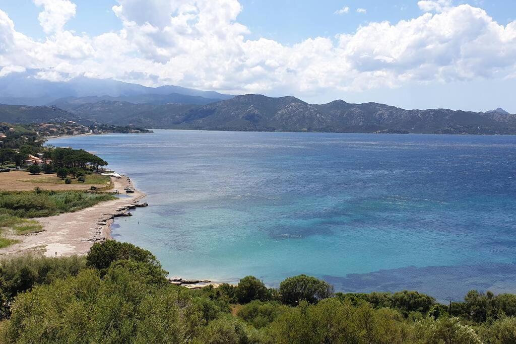 Appartement Sur La Baie De Saint Florent Patrimonio Eksteriør bilde