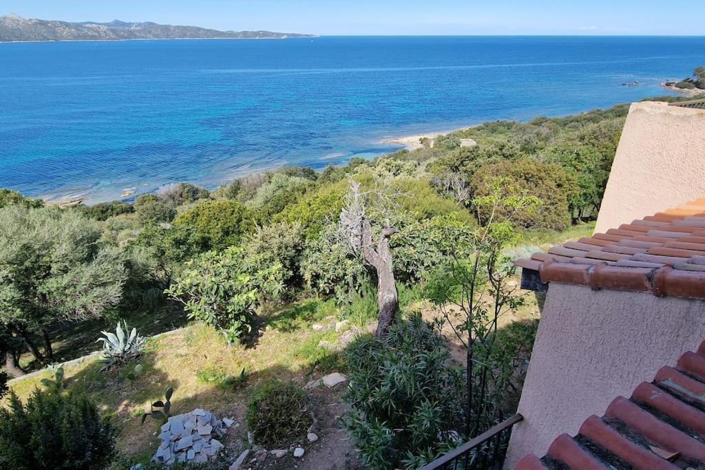 Appartement Sur La Baie De Saint Florent Patrimonio Eksteriør bilde