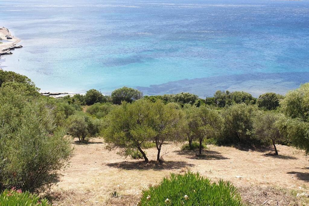 Appartement Sur La Baie De Saint Florent Patrimonio Eksteriør bilde
